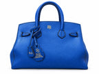 Daz birkin bag